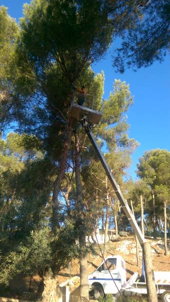 abattage d'arbres et mise en sécurité de propriétés boisées à Ensues La Redonne