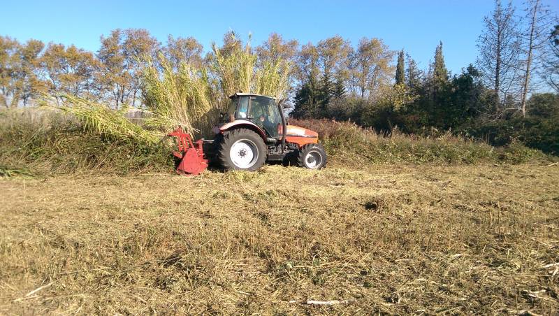 Débroussaillage et broyage de terrain agricole Châteauneuf les Martigues